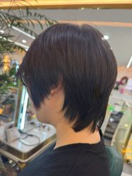 -秦·专注剪发