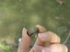 -青龙山国家森林公园