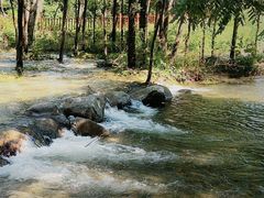 -玉渡山自然风景区