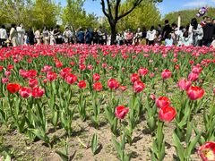 -长春公园(普阳街道)