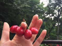 龙井菜馆-龙井壹号·茶缘山景宴(龙井村店)