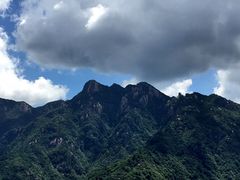 -九华山聚龙大酒店