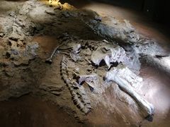 -世界恐龙谷景区