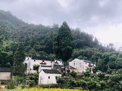 -新安江山水画廊风景区