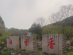 -香雪海