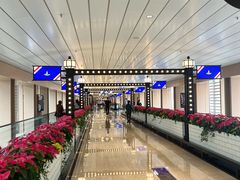 -澳门威尼斯人综合度假区