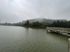 -顺峰山公园