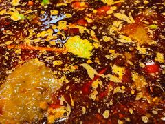 -肖肖酸萝卜鱼火锅(总店)