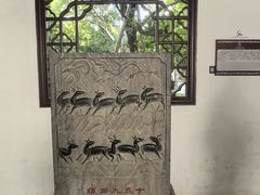 -上海醉白池公园