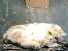 -作咖啡(养育巷店)
