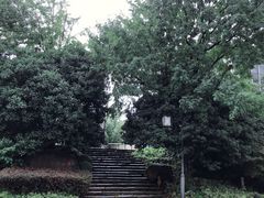 -活水公园