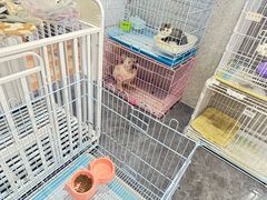 -满香园自助海鲜烤肉(赣榆吾悦广场店)