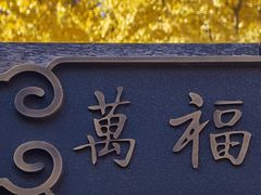-灵谷景区