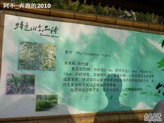 -紫竹院公园冰场