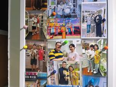 -青奢宠物·青奢猫舍