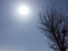 -古柏渡飞黄旅游区