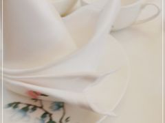 -花城苑广府菜(海心沙店)