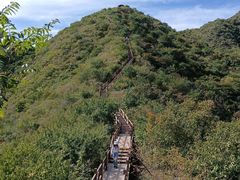 -大岭沟猕猴桃谷风景区