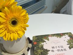 -露露家咖啡店