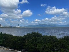 -深圳湾公园(南山区)