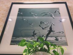 -Aqua Oasis 水天堂(爱山广场店)