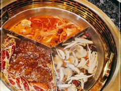 -蜀大侠火锅(森兰花园城店)
