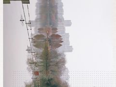 -青枫公园