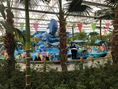 -南宫五洲植物乐园