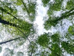 -上海怡沁园度假酒店