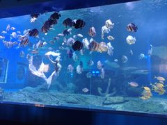 -石林冰雪海洋世界