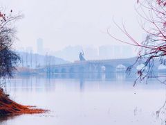 -东湖落雁景区