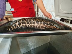 -金三可市井水煮鱼(金碧园店)