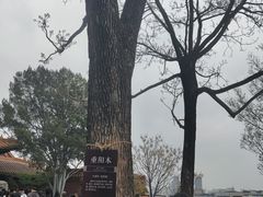 -戏马台景区
