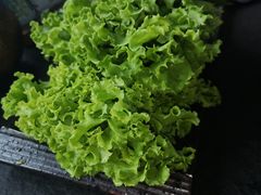 -炭虎烤肉(桂林路店)