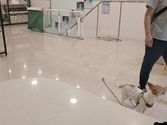 -佳雯宠物医院(四明中路分院)