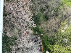 -南京城墙景区