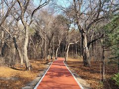 -长春市南湖公园