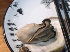 -陈记高压锅鱼头·生蚝
