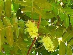 -白鹭湾湿地公园