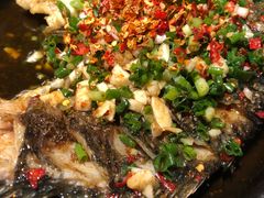 -聚鑫朋酸菜肥肠(文艺路口店)