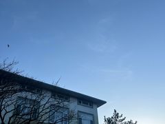 -黄山白云宾馆