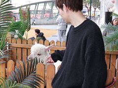 -开元商城(西旺店)