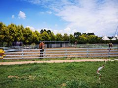 -紫颐香薰山谷景区