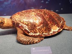 -上海中国航海博物馆