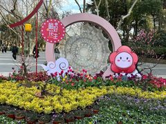 -红梅公园