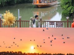 -大湾区中央湿地公园