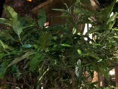 -广州锦绣香江度假别墅