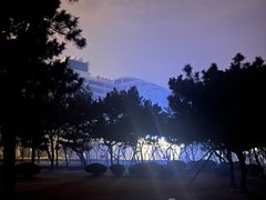 -日照灯塔风景区