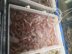 活蛎虾-77号渔船·蒸海鲜青岛菜(积米崖店)