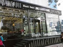 -BLACKSWAN黑天鹅(环球店)